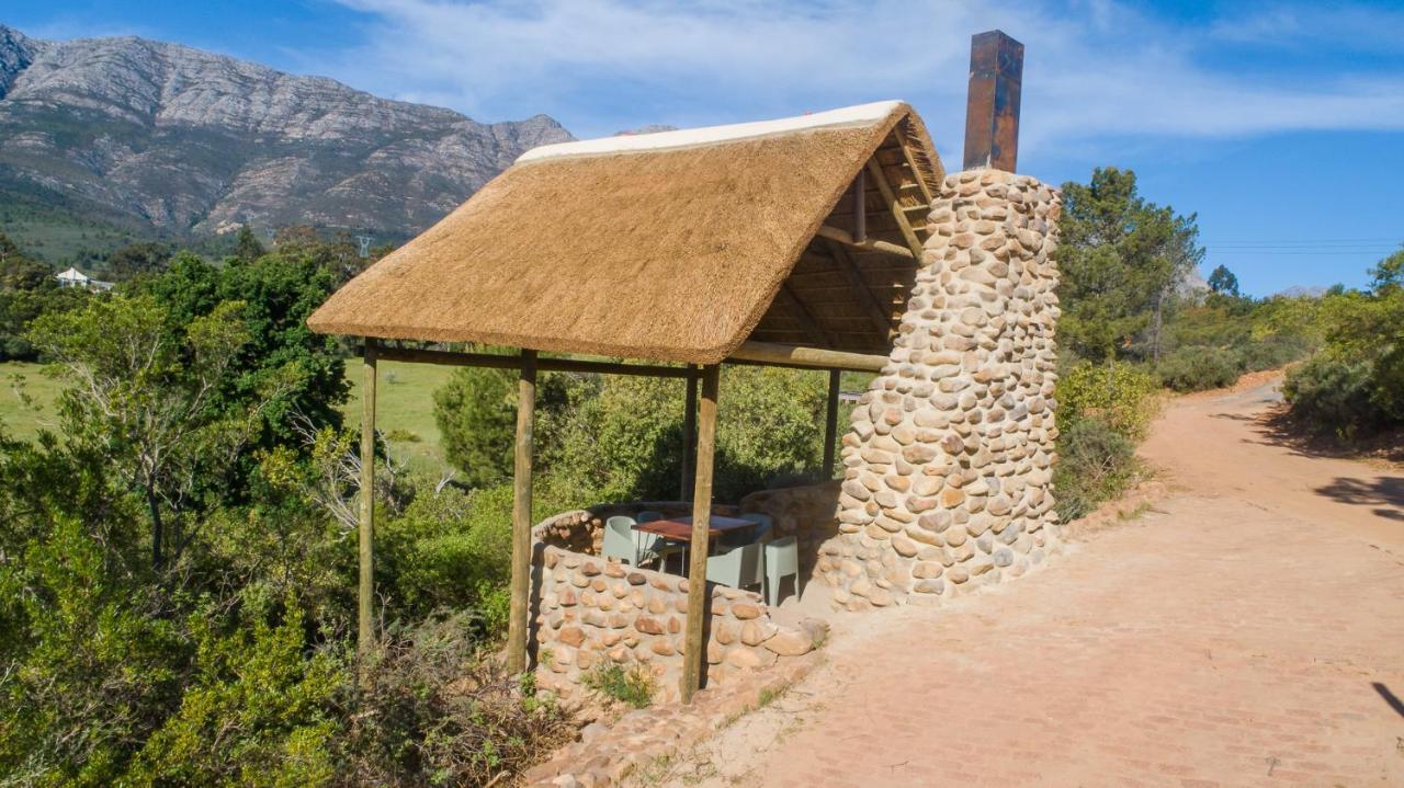 Mountain Cabin Wolseley Bagian luar foto